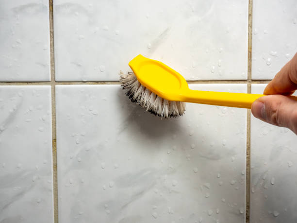 Best Commercial Mold Removal  in Warrensville Heights, OH