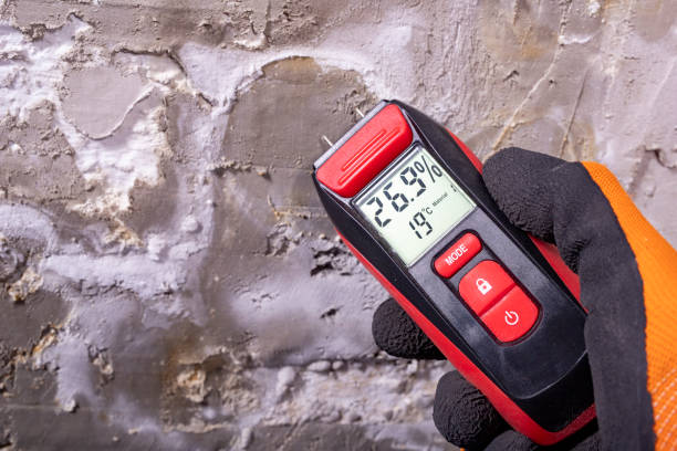 Best Certified Mold Removal  in Warrensville Heights, OH