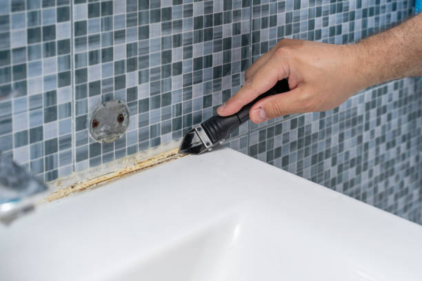 Best Mold Removal and Inspection  in Warrensville Heights, OH