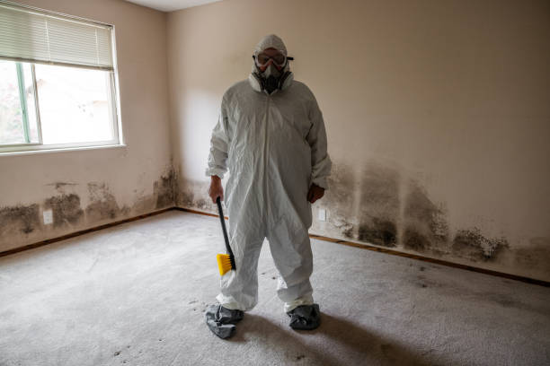 Best Mold Removal Process  in Warrensville Heights, OH
